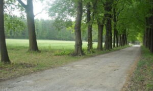 Teichlauf in Zeisholz