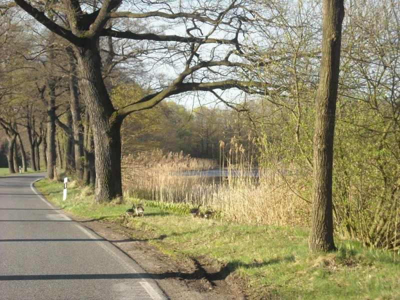 Willkommen Gemeinde Schwepnitz