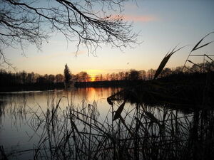 Schwepnitzer Landschaft